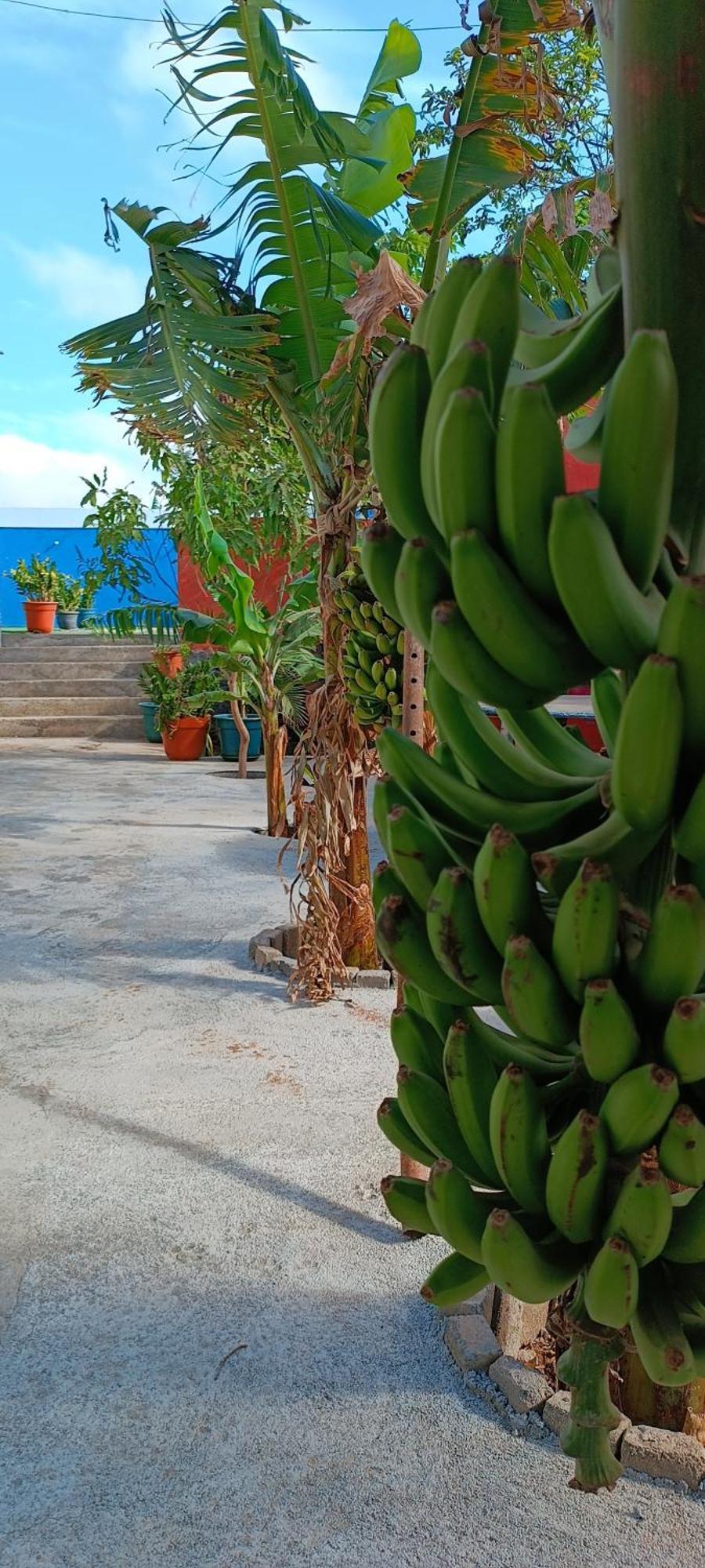Residencia Aguia Villa Praia Kültér fotó